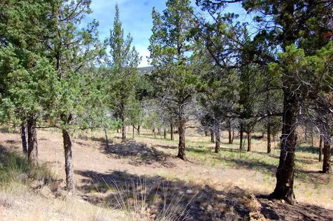 NE Tl 700 Irvine Avenue Prineville OR 97754