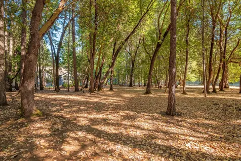 341 Sugar Pine Drive Merlin OR 97532