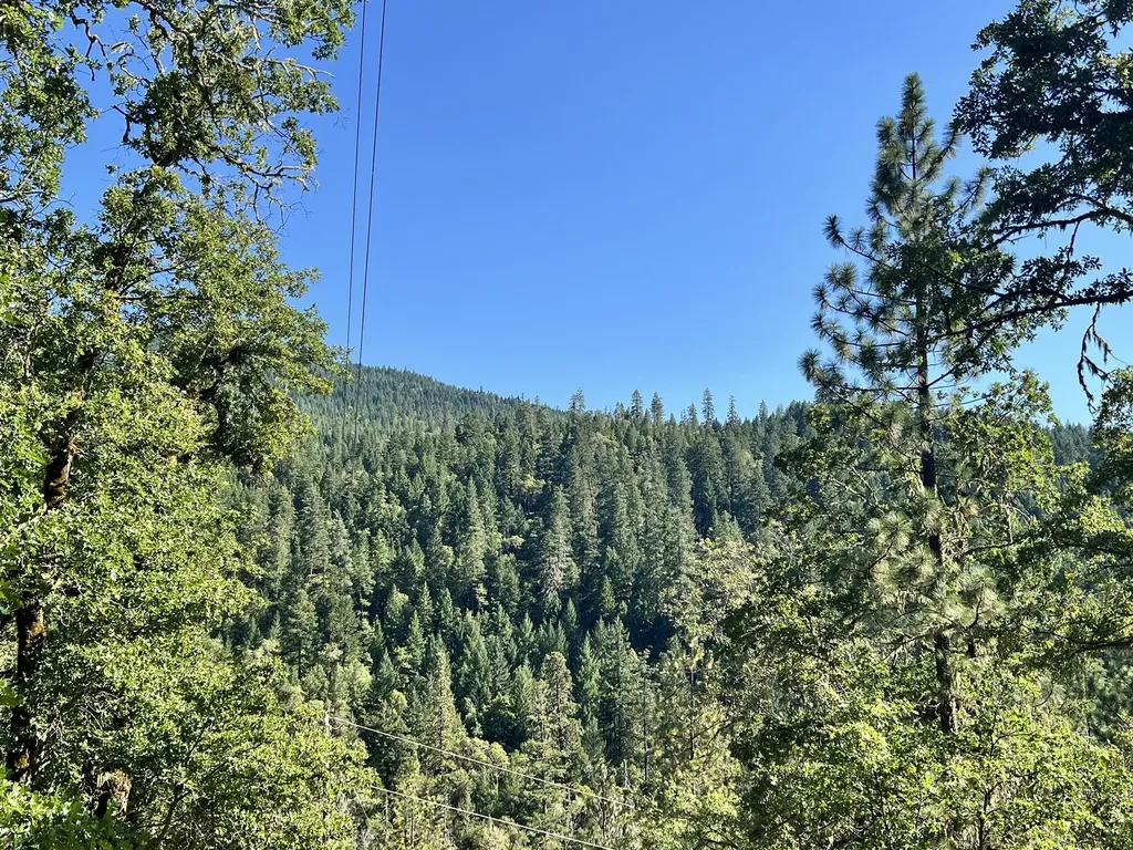 4234 Placer Road Wolf Creek OR 97497