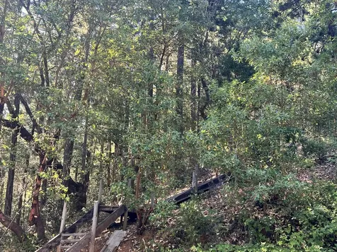 4234 Placer Road Wolf Creek OR 97497
