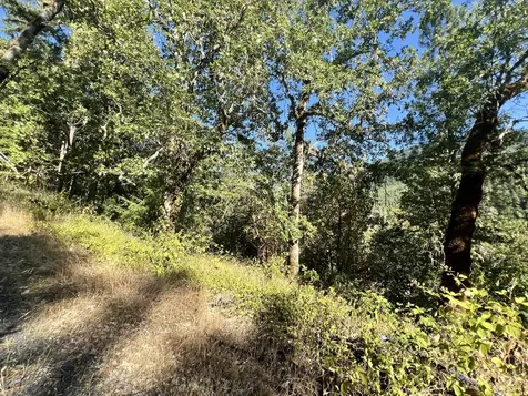 4234 Placer Road Wolf Creek OR 97497