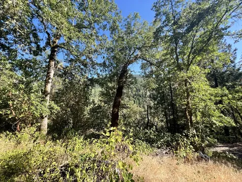 4234 Placer Road Wolf Creek OR 97497