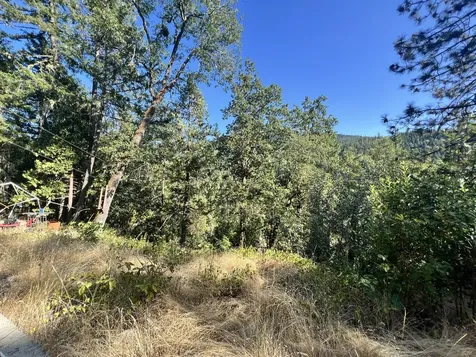 4234 Placer Road Wolf Creek OR 97497