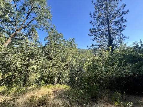 4234 Placer Road Wolf Creek OR 97497