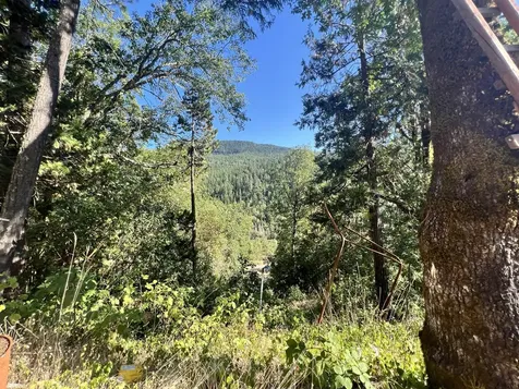 4234 Placer Road Wolf Creek OR 97497