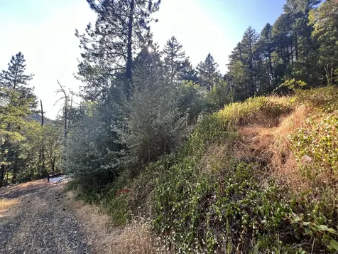 4234 Placer Road Wolf Creek OR 97497