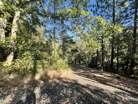 4234 Placer Road Wolf Creek OR 97497