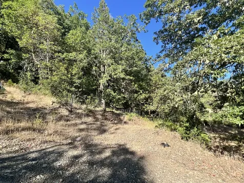 4234 Placer Road Wolf Creek OR 97497