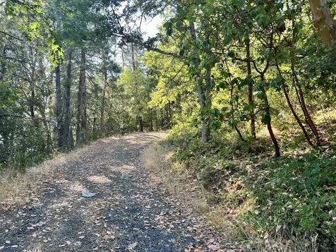 4234 Placer Road Wolf Creek OR 97497