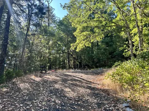 4234 Placer Road Wolf Creek OR 97497