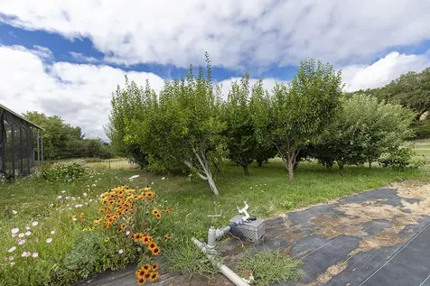 4441 Upper River Road Grants Pass OR 97526