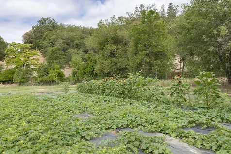 4441 Upper River Road Grants Pass OR 97526