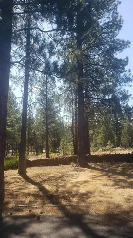 60305 Woodside Road Bend OR 97702