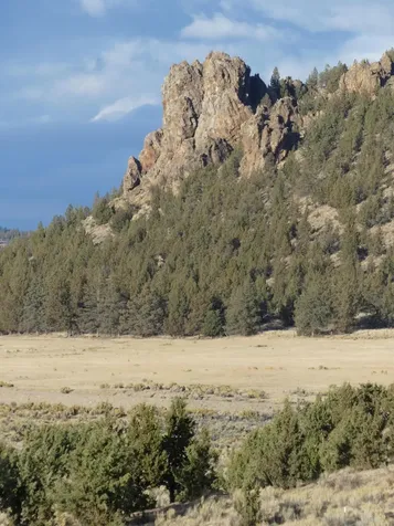 1397 NE Wilshire Drive Prineville OR 97754