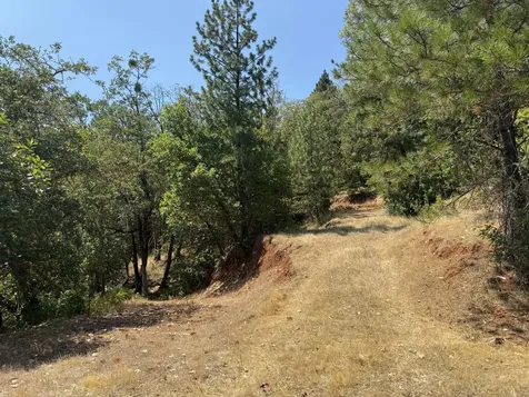 2494 Jumpoff Joe Creek Road Grants Pass OR 97526