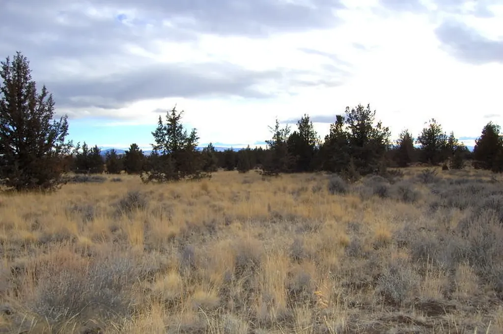 Tl 2300 Iowa Avenue Prineville OR 97754