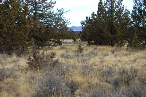 Tl 2300 Iowa Avenue Prineville OR 97754