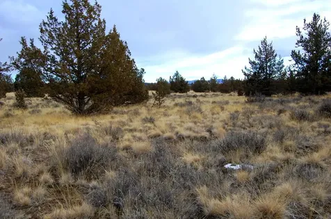 Tl 2300 Iowa Avenue Prineville OR 97754