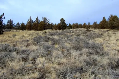 Tl 2300 Iowa Avenue Prineville OR 97754