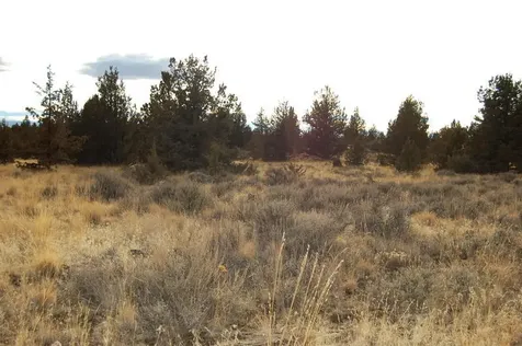 Tl 2300 Iowa Avenue Prineville OR 97754