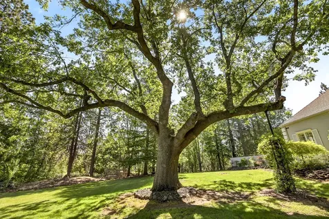 357 Reiten Drive Ashland OR 97520