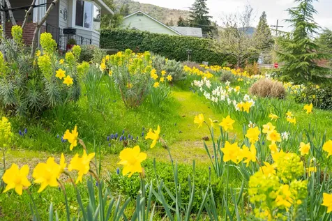826 Holly Street Ashland OR 97520