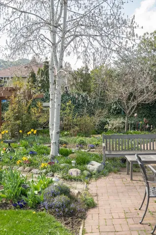 826 Holly Street Ashland OR 97520