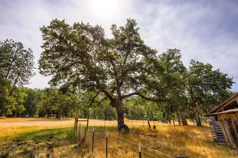 1472 Sardine Creek Road Gold Hill OR 97525