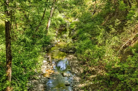 1472 Sardine Creek Road Gold Hill OR 97525