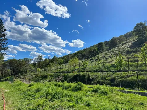 2231 Humbug Creek Road Applegate OR 97530