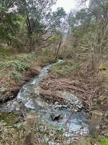 2231 Humbug Creek Road Applegate OR 97530