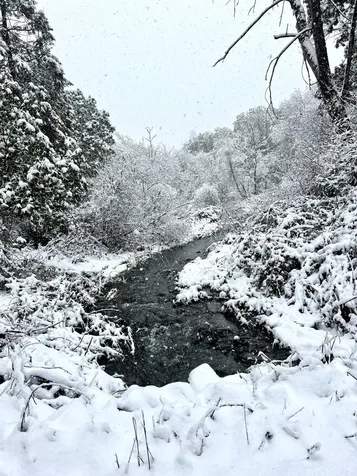 2231 Humbug Creek Road Applegate OR 97530