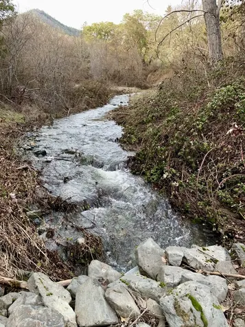 2231 Humbug Creek Road Applegate OR 97530