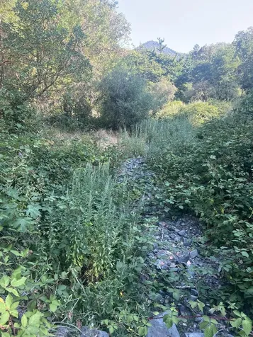 2231 Humbug Creek Road Applegate OR 97530