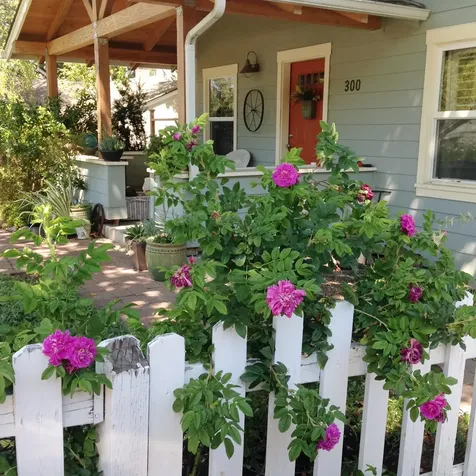 300 Harrison Street Ashland OR 97520