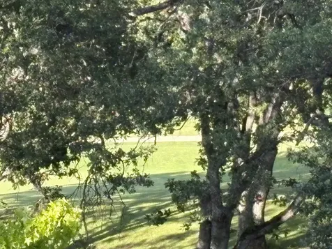 854 Twin Pines Circle Ashland OR 97520