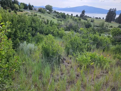 0 Pleasant View Road Chiloquin OR 97624