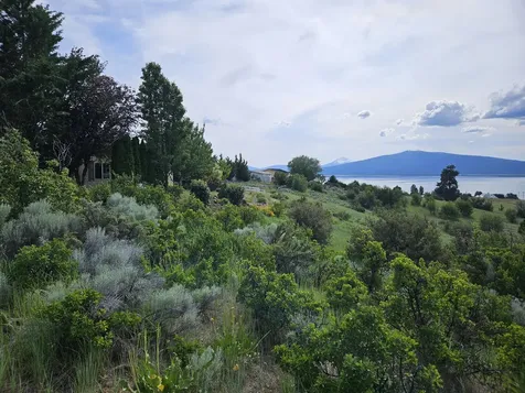 0 Pleasant View Road Chiloquin OR 97624