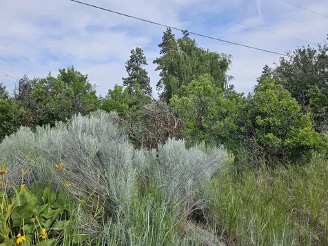0 Pleasant View Road Chiloquin OR 97624