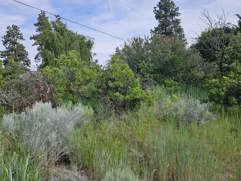 0 Pleasant View Road Chiloquin OR 97624