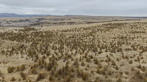 12230 NE Highway 97 Madras OR 97741