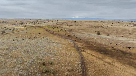 12230 NE Highway 97 Madras OR 97741