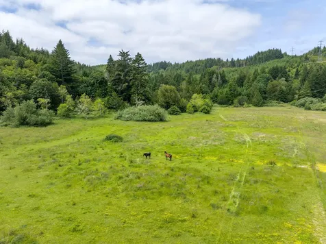 54431 Morrison Road Bandon OR 97411