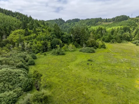 54431 Morrison Road Bandon OR 97411