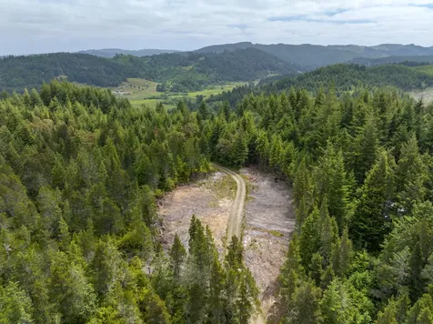 54431 Morrison Road Bandon OR 97411