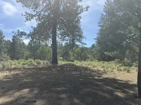 40222 Lobart Way Chiloquin OR 97624
