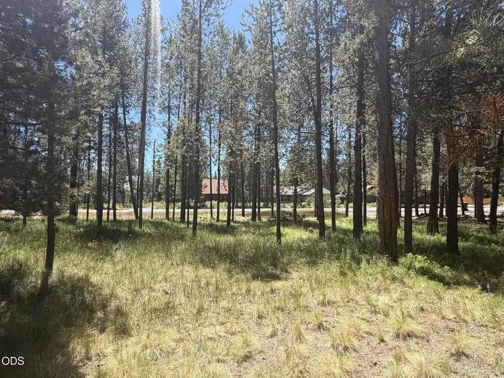 17386 Golden Eye Drive Bend OR 97707