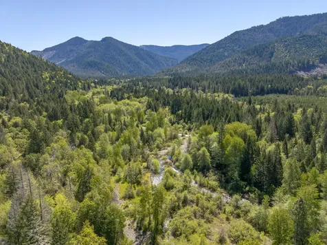 8501 Deer Creek Road Selma OR 97538