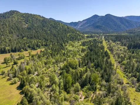 8501 Deer Creek Road Selma OR 97538