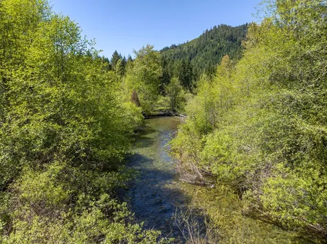 8501 Deer Creek Road Selma OR 97538